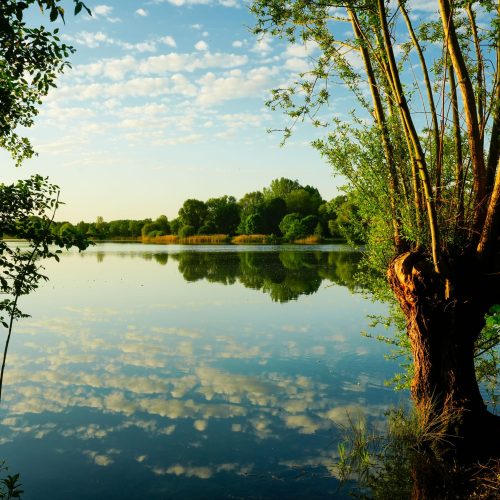 2025-05-03 07-29-51 (2)(2)